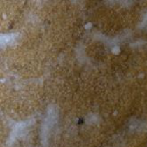 ぬかの表面に出来る白い膜